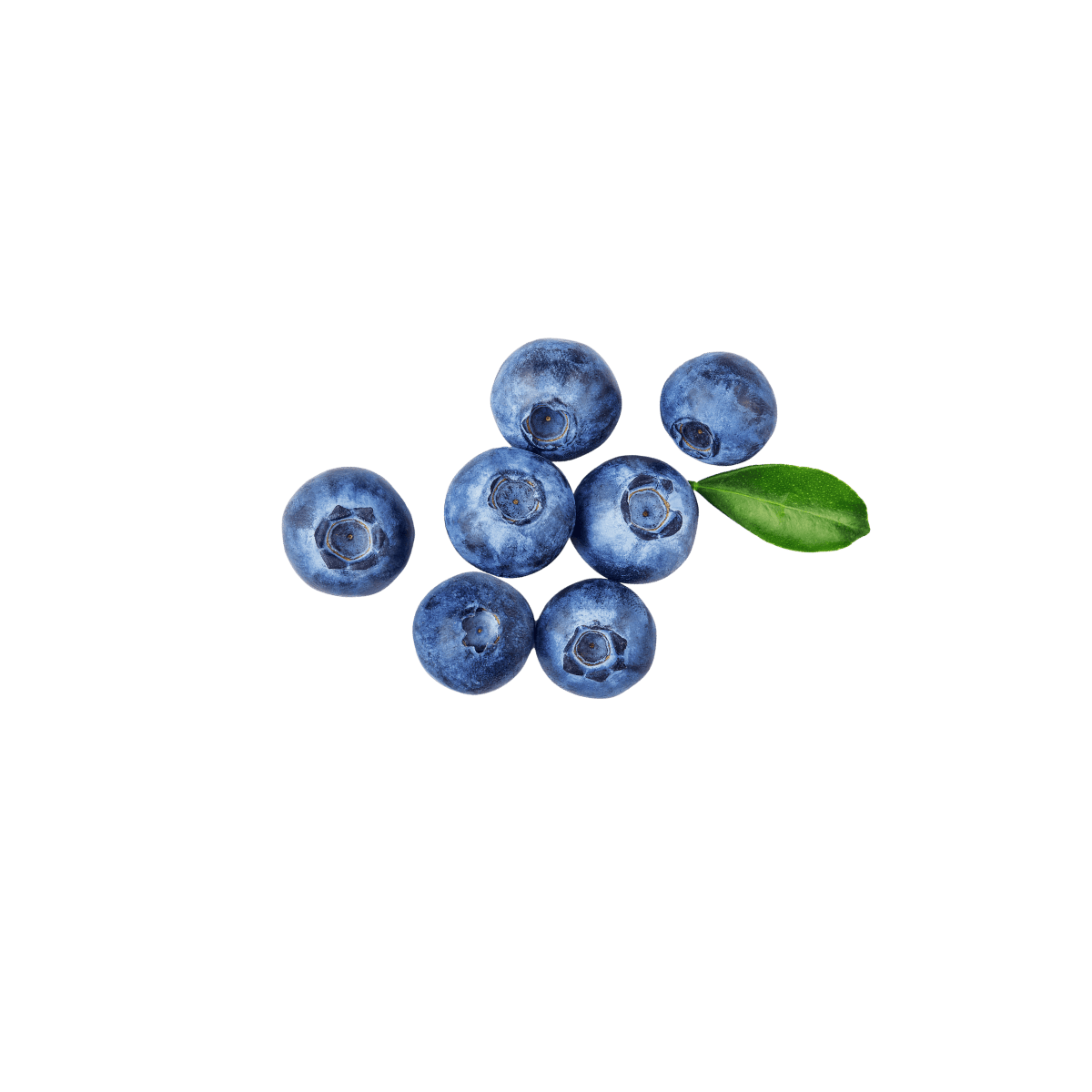 frische Blaubeeren